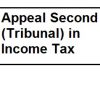 Appeal Second Income Tax Assessment